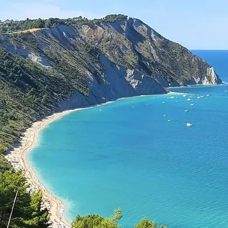 I Gerani Castelfidardo